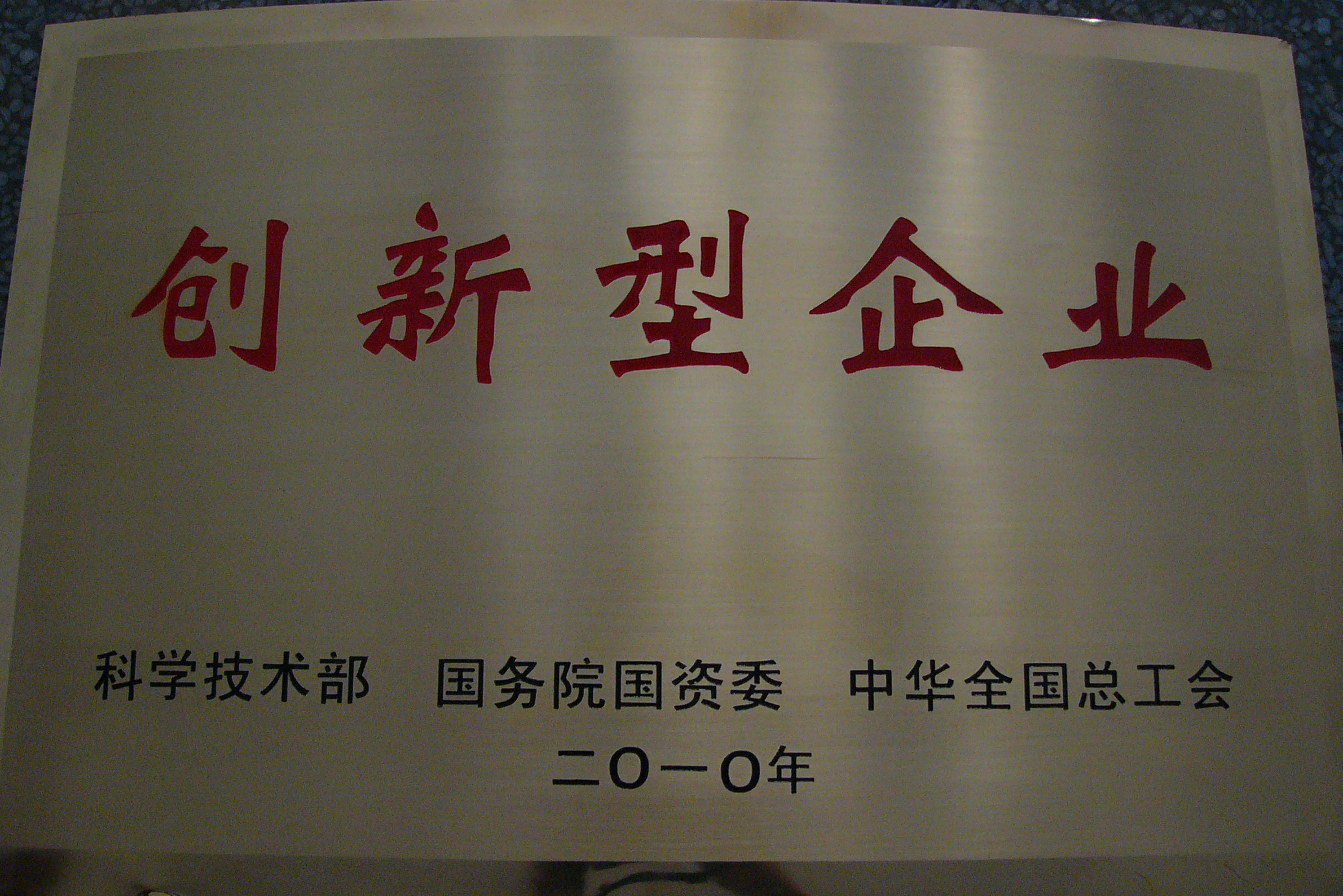 2010年 创新型企业