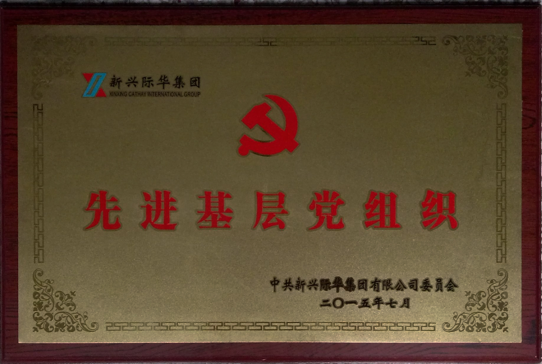 2015年 先进基层党组织