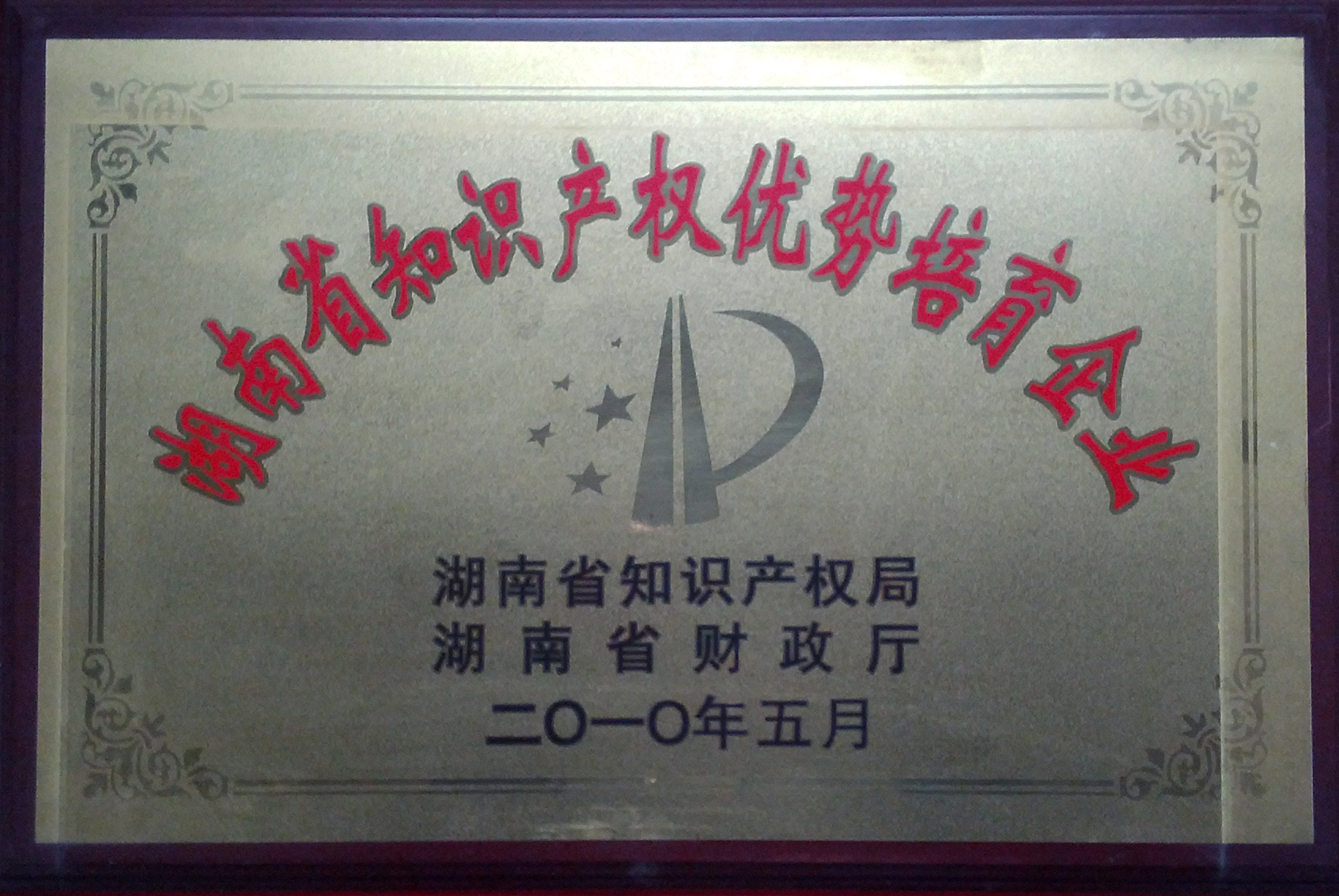 2010年 知识产权优势培育企业