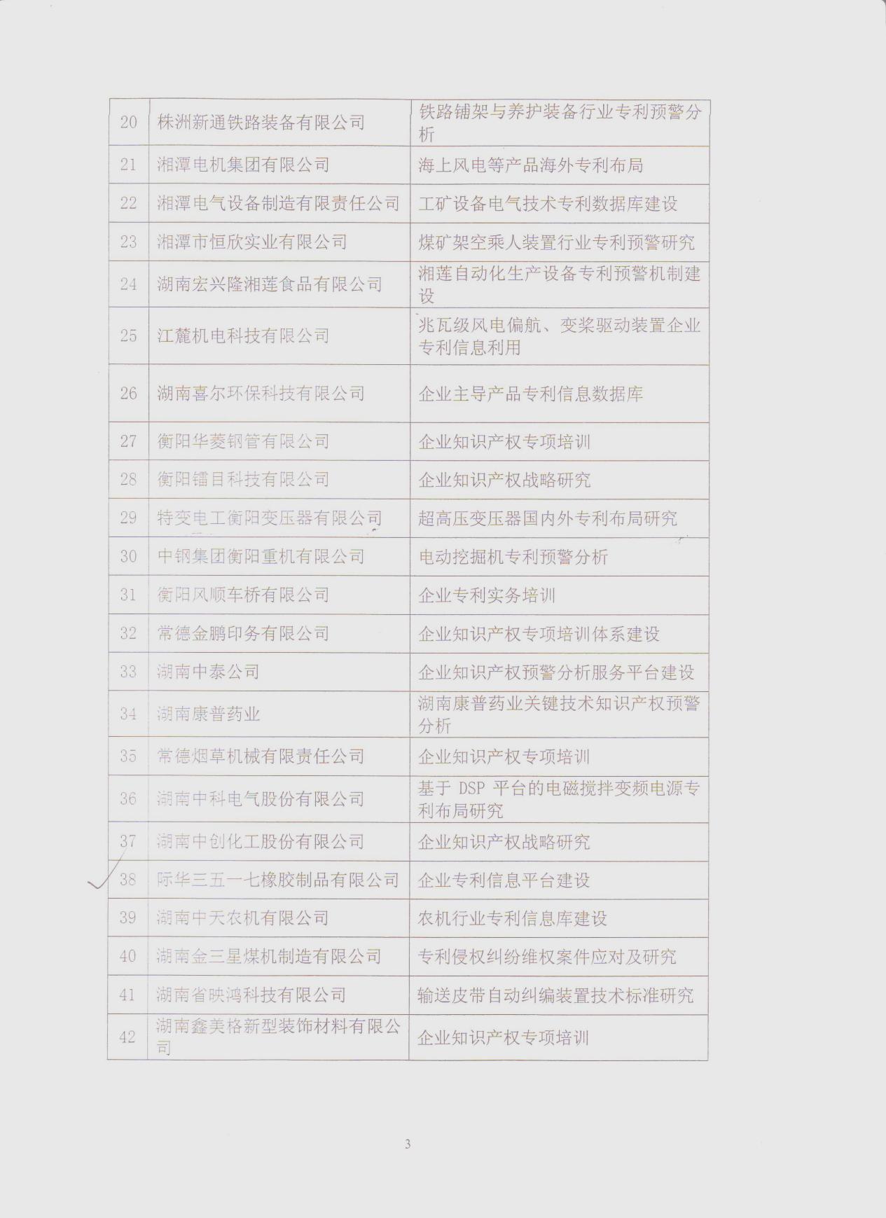 2011年企业专利信息平台建设 (三)