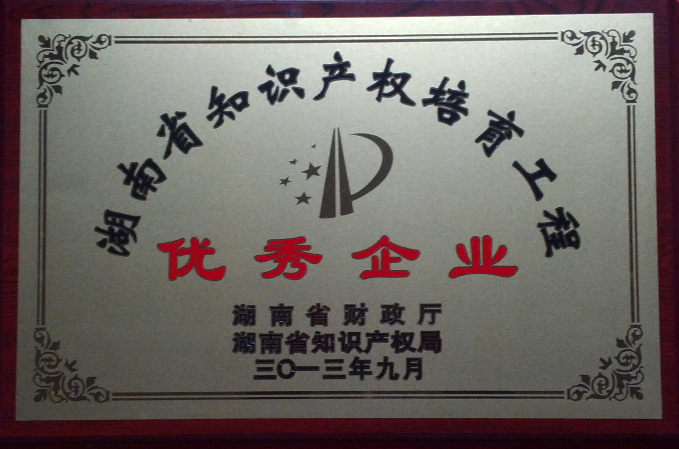 2013年 知识产权优秀企业