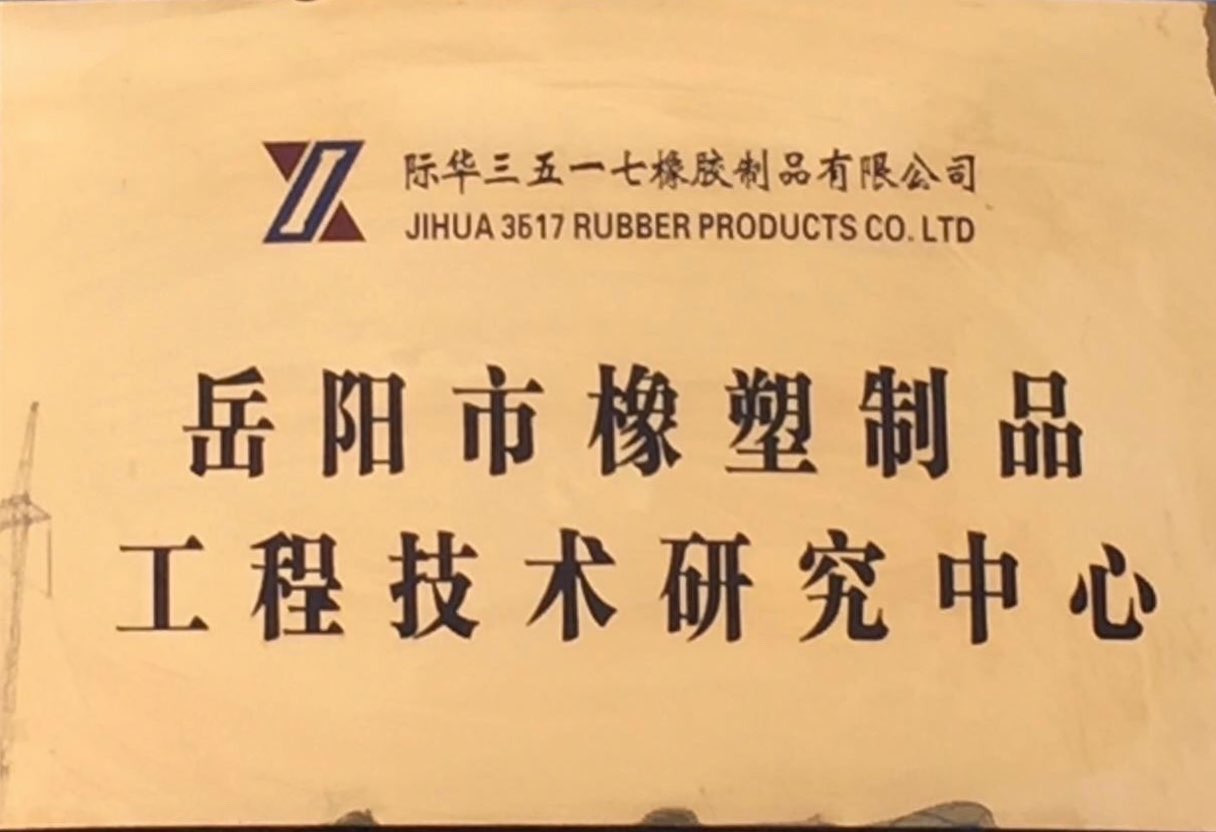 2011年 岳阳市橡塑制品工程技术研究中心