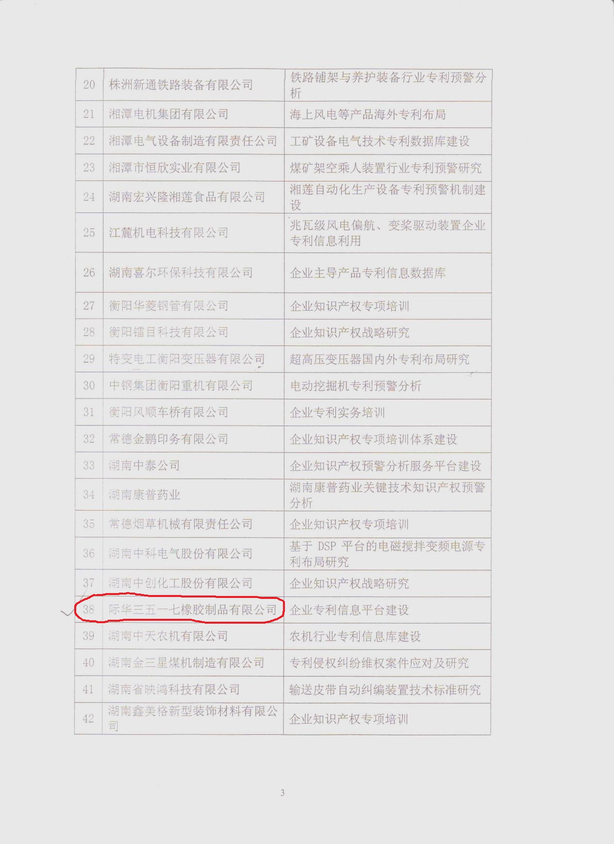 2011年企业专利信息平台建设 (二)