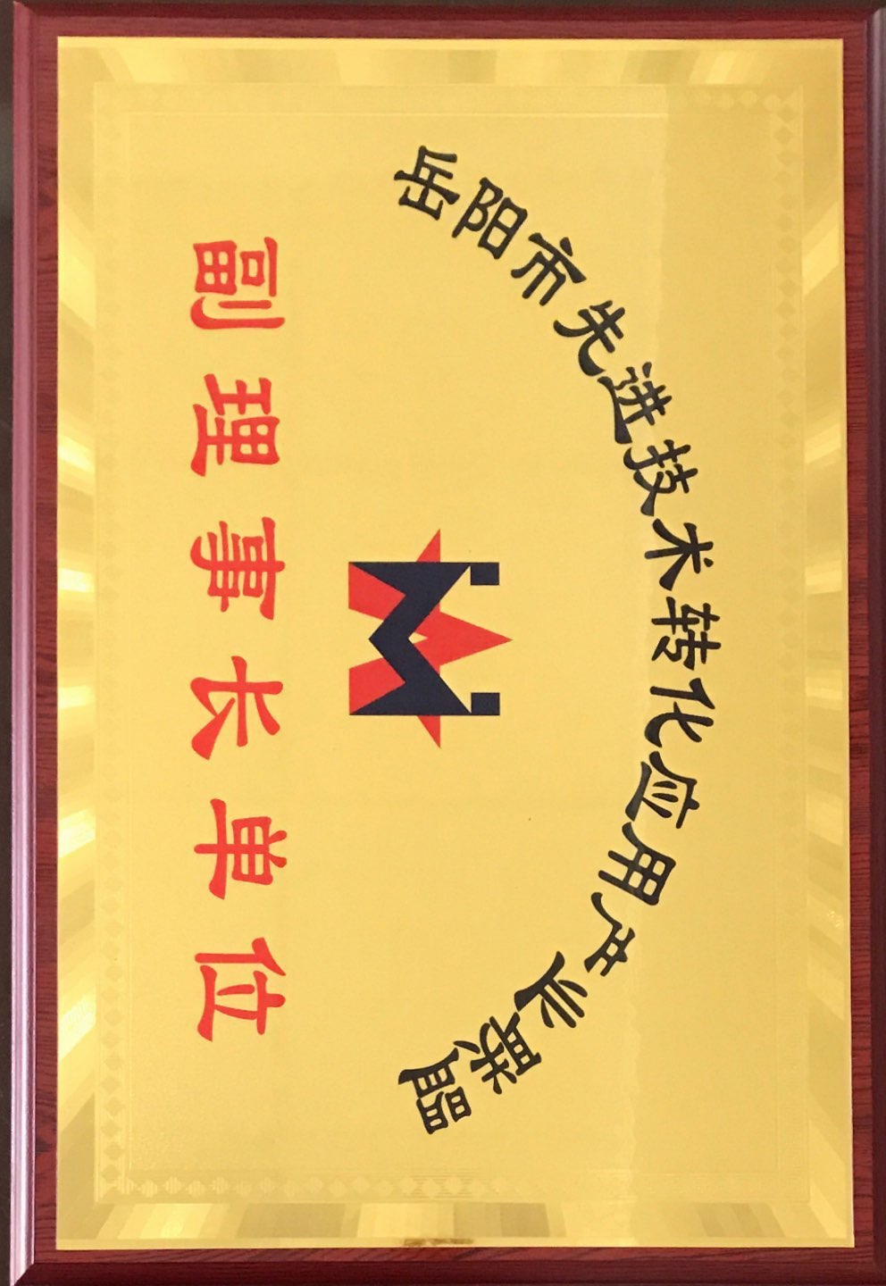 2019年 岳阳市先进技术转化应用产品 副理事长单位