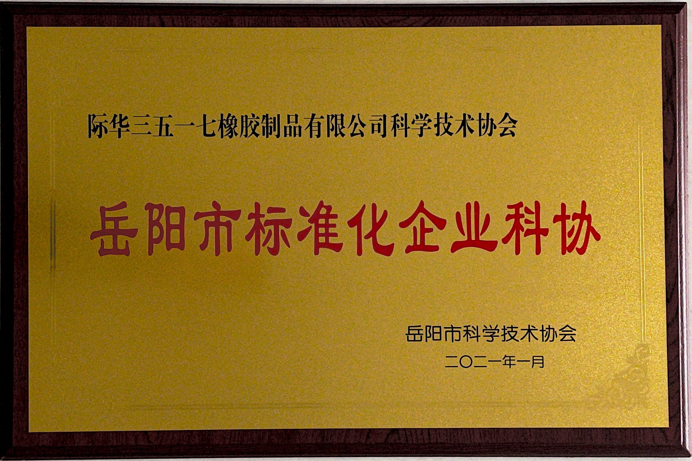 2021年 岳阳市标准化企业科协